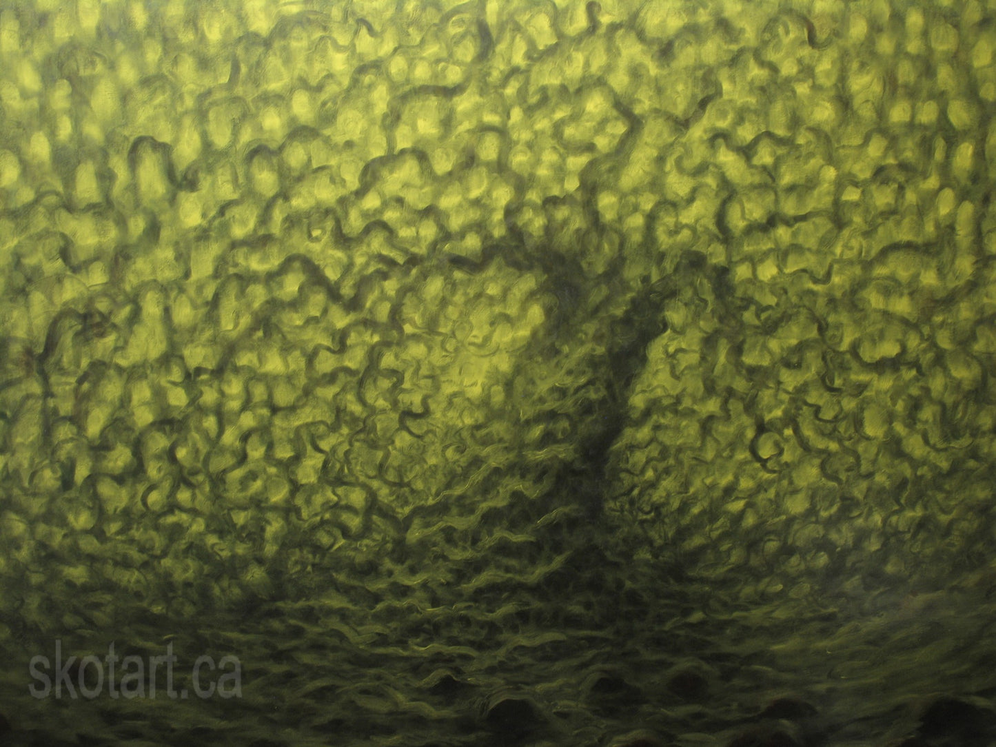 Apple tree, fruit orchard  artwork painting by skotart.ca