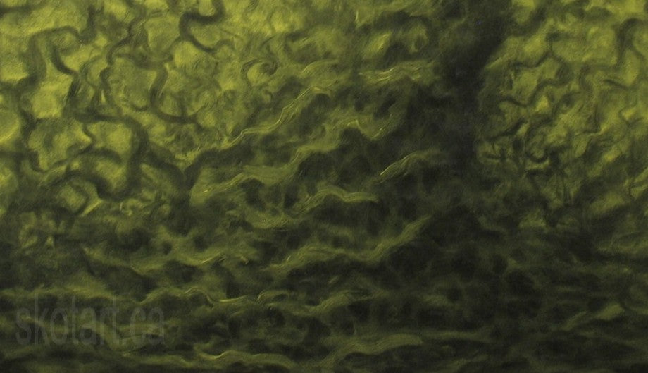 'Ancient Fruit II' (OS)