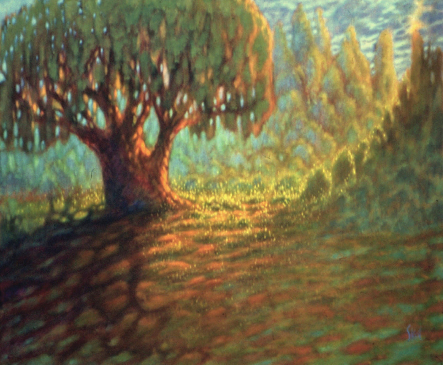 'August Willow II' (L)