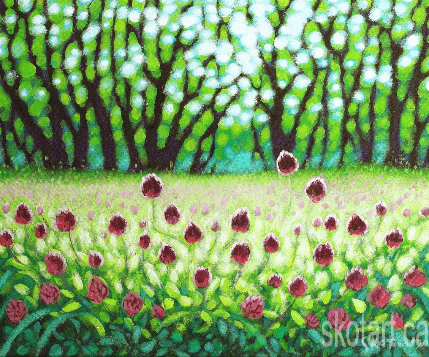 'Field of Clover II' (M)