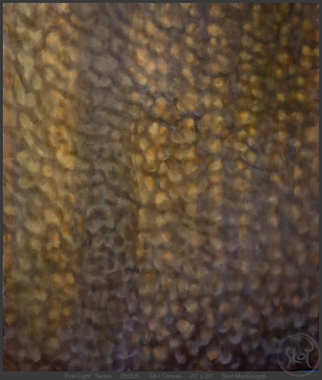 First Light Series (M)