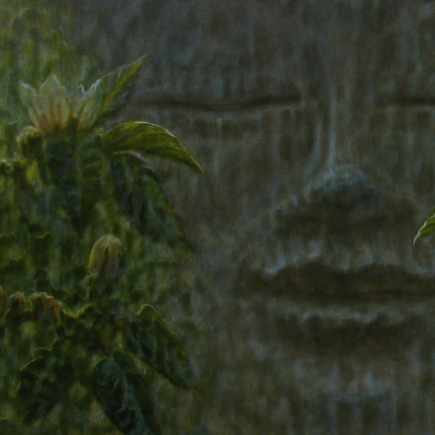 'The Opening  I' (OS)