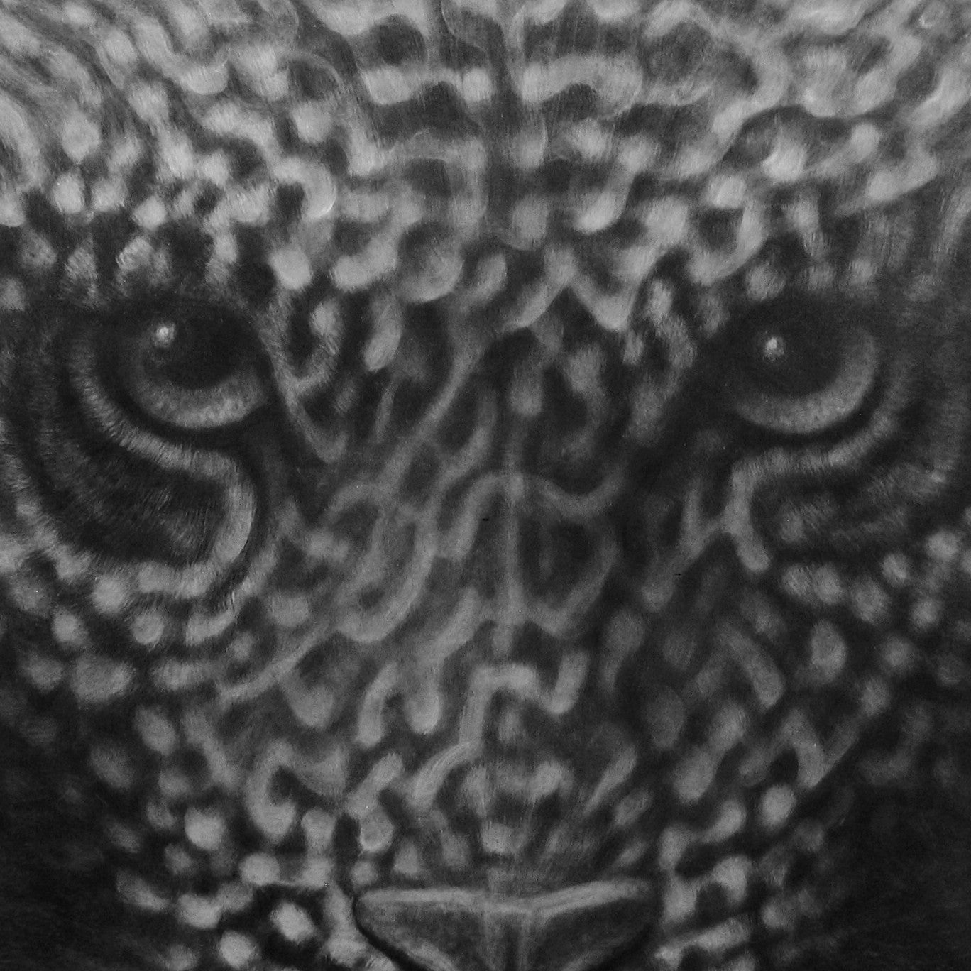 'Zen Tiger' Series (OS)