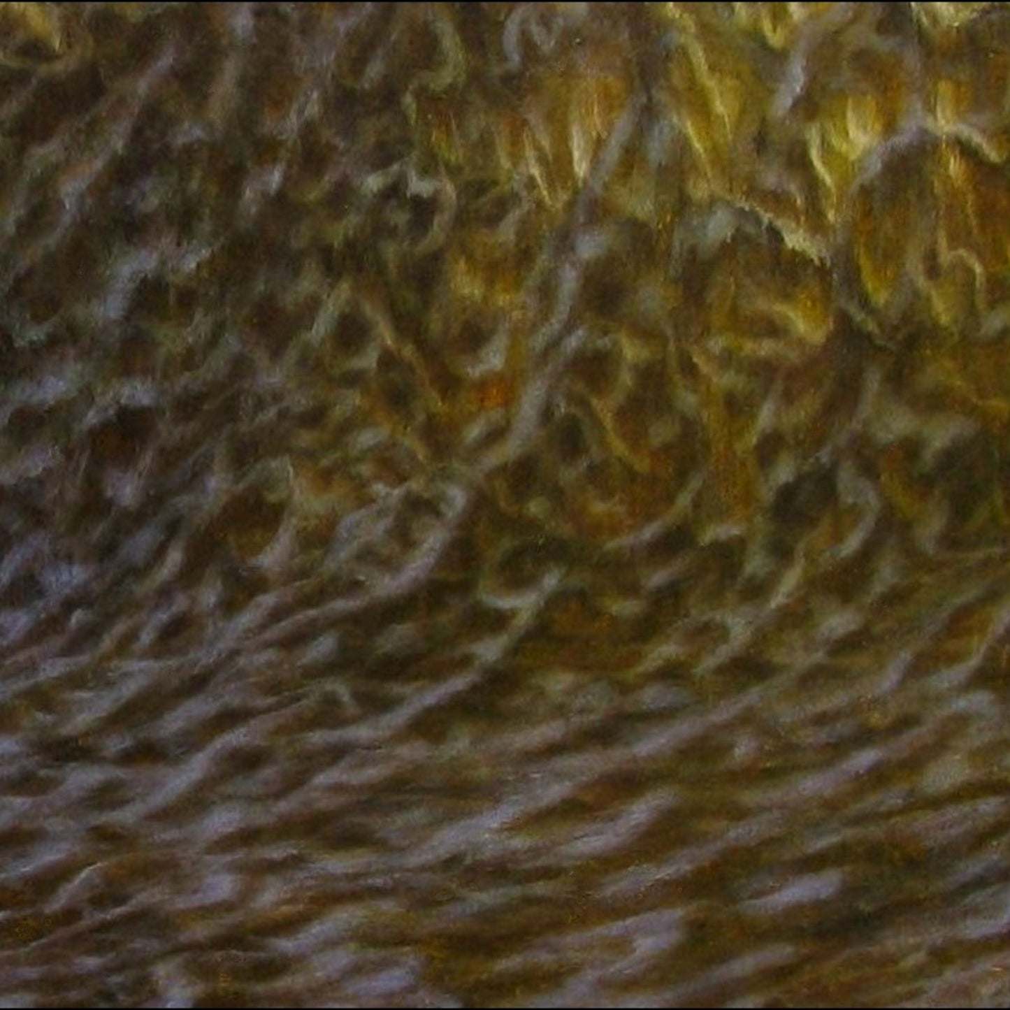'Extensions II' (L)