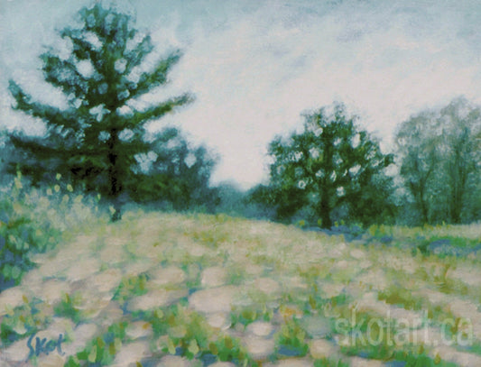 'Fields of Canatara II' (S)