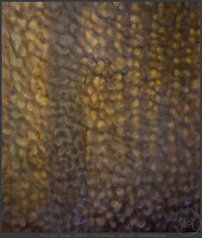 First Light Series (M)