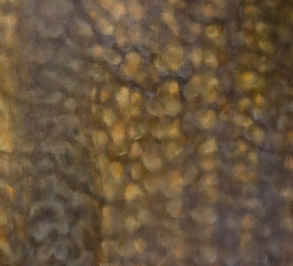 First Light Series (M)