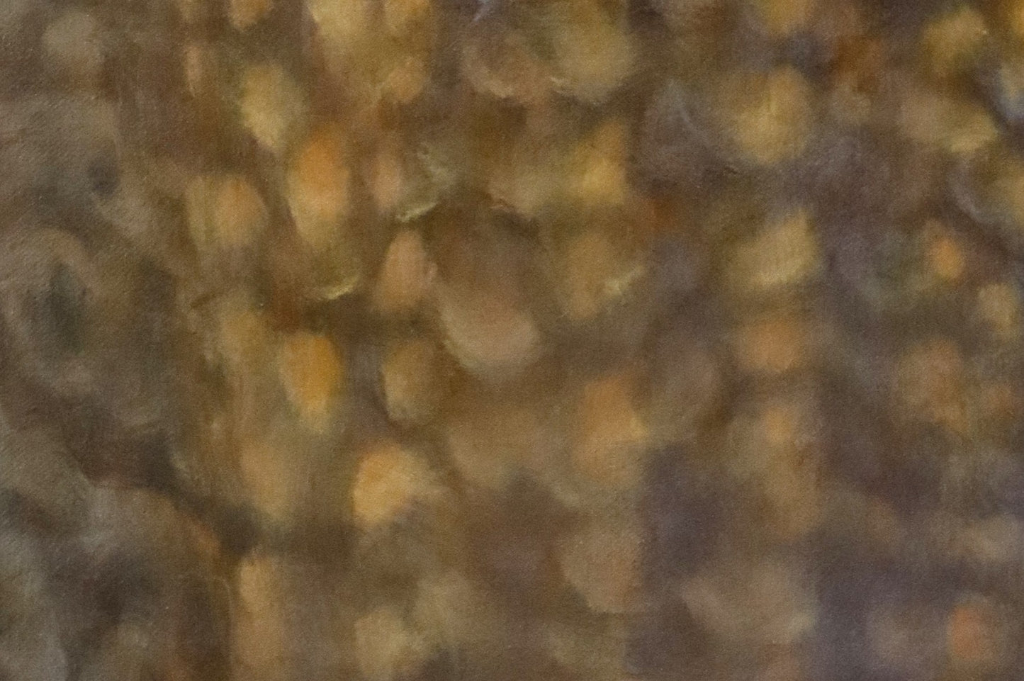 First Light Series (M)