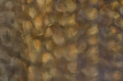 First Light Series (M)