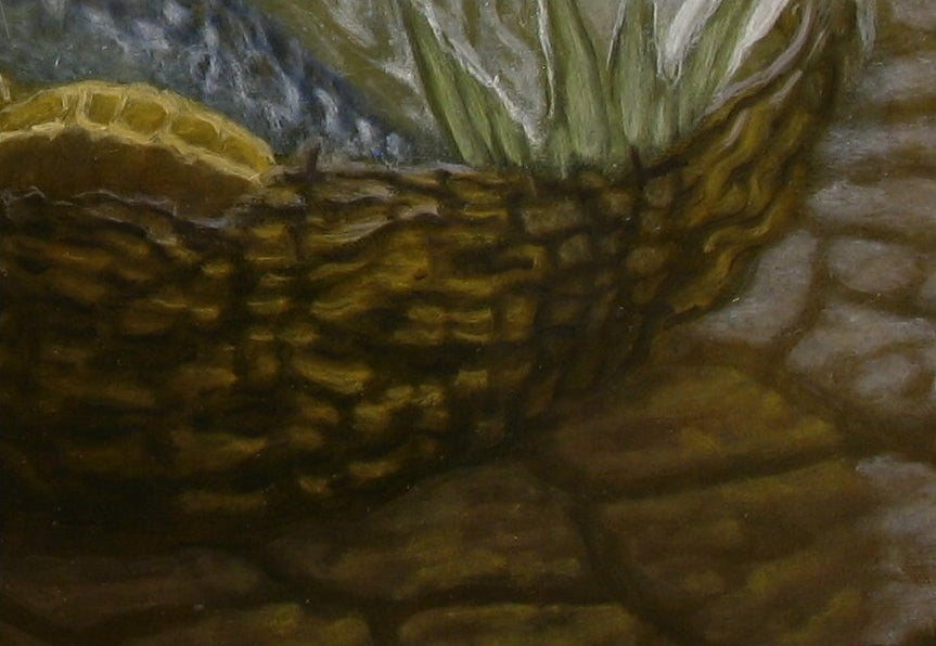 'Loaves and Fishes' IV (M)