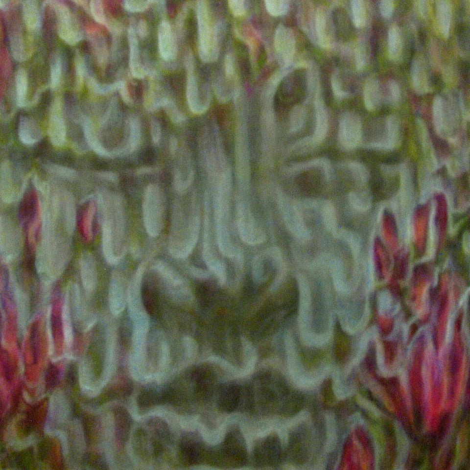 'Magnolia Buddha II' (M)