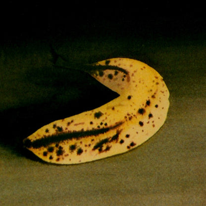 'One Banana Two Banana' (M)