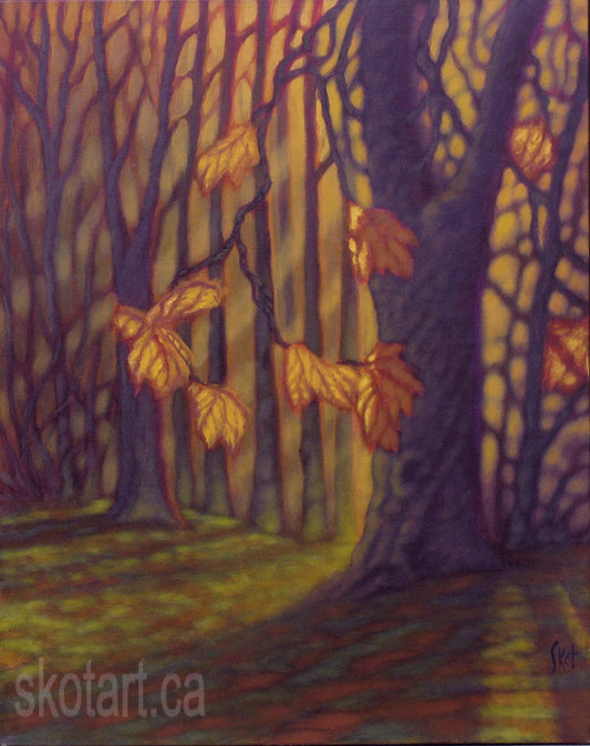 'Sun Rise in Fall III' (M)