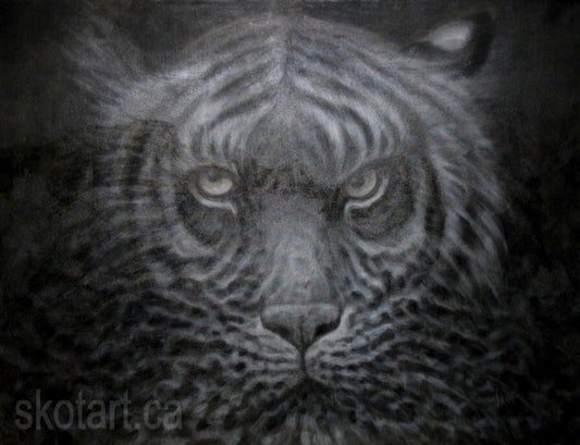 Skotart.ca zen tiger black and white  painting by skot macdougall sarnia ontario