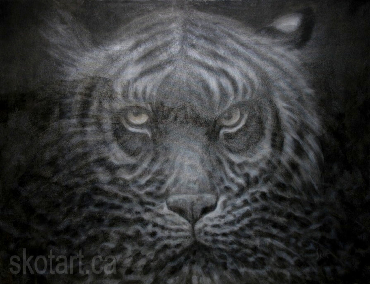 Skotart.ca zen tiger black and white  painting by skot macdougall sarnia ontario