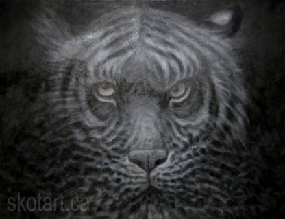 Skotart.ca zen tiger black and white  painting by skot macdougall sarnia ontario