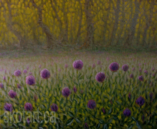 'Field of Clover III' (M)