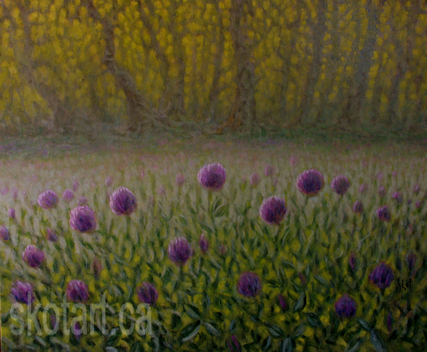 'Field of Clover III' (M)